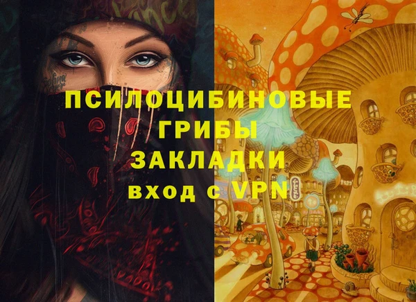 соль ск Богородицк