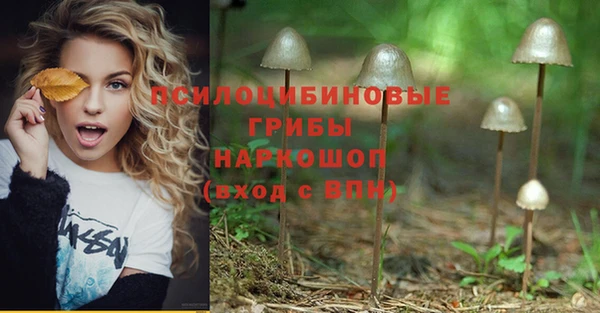 дурь Богданович