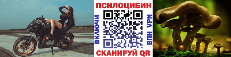 цены наркотик  Бутурлиновка  Псилоцибиновые грибы мицелий 
